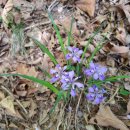 꾀꼬리봉 등산로 | 파주시, 양주시 지도상 형제봉, 실제 형제봉, 개명산, 비호봉, 우암산