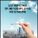 시범월드공인중개사사무소 네이버블로그