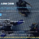 해피다이버스