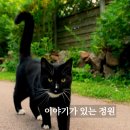 떼껄룩(TAKE A LOOK) 이미지