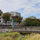 등촌샤브샤브칼국수 이미지