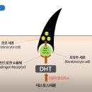 동탄다정약국 이미지