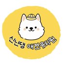 수도유치원 | 평내동 소형견 신난댕 유치원 비용 및 가격, 첫등원 솔직 후기