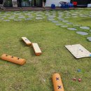 태인 애견 이미지