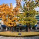 호남소비조합 이미지