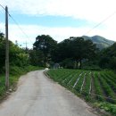 민하마을 이미지