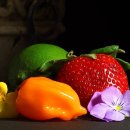 샘터지역아동센터 이미지