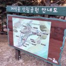 제881차(2024.11.7.목) 정기산행 안내 및 예약/부산광역시 사하구 승학산-구덕산 등 억새평원과 단풍 탐방 및 1일5산 연계코스 이미지