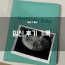 태동플래닝 - 13483 | [임신 후기 기록] 30주~38주 / 임신 후기 증상, 출산준비, 호캉스, 막달 검사