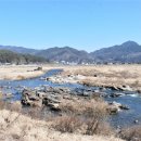 무릉도원면사무소 이미지