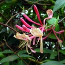 밝은마음 이미지