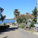 제주올레하우스2 이미지