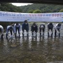 [대전시청] 대전시, 지역생태계 상징‘감돌고기’3차 복원 이미지