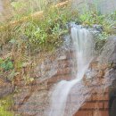 정가네밥상 제주스마트팜 [<b>제주</b>도민 맛집 추천] <b>제주</b> <b>스마트</b><b>팜</b> <b>정가네</b><b>밥상</b>, 보리굴비+솥밥+무공해 채소 완벽조합! 🍚🐟