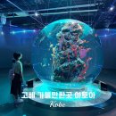 조이앤아트 | 오사카 근교여행 고베 가볼만한곳 아토아 간사이 조이패스 이용시설 추천