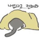 김동물병원 이미지