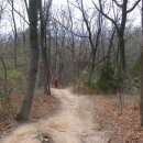 엄사약국 이미지