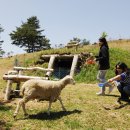 (주)평창투어 티스토리
