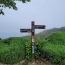 해상공원 대종 아래 이미지