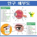 단원요양보호사교육원 이미지