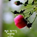 동일기업 이미지