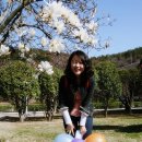 세스페데스 공원 앞(남영로 48 맞은편) | 진해여행:)/진해축제:)/[경상남도 진해시] 진해군항제""로써는 마지막인 올해... 그곳에 다녀왔습니다.""