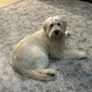 예당 앤 다울 이미지