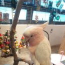 예쁜이PC 이미지