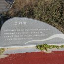 영덕 고래불 국민 야영장 티스토리