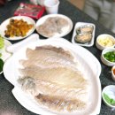 강원 속초 청호활어센터 우성수산/ 속초 회 맛집 저렴한데 양은 엄청 많이 주는 곳 / 강원 속초 가볼 만...