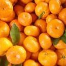 부동산마트공인중개사사무소 이미지