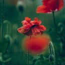 일곡실내골프연습장 이미지