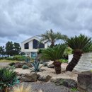 애월 어떤날 이미지