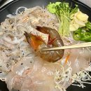 해락계절회전문점 | 사계절막회&amp;물회 동삭동횟집 해초쌈과 즐기는 계절활어전문점 포장후기 [평택동삭동맛집]