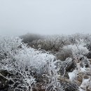 영남알프스(재약산,천황산) 이미지