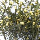 노내골농장 이미지