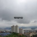 월영동217 이미지