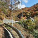 추원모차골 이미지