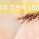 메트로성모안과 네이버블로그