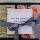 라무르플라워