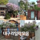 남산3동행정복지센터 | 대구 라일락 명소 모음 오가닉모가 외 8곳