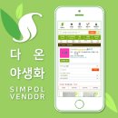 [심폴 입점사] 다온야생화🌱🏬 (다육식물/선인장/관엽식물/공기정화식물/야생화/허브/수생식물/채소/동백...