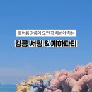 더퍼니서프