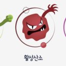 윤진약국 이미지