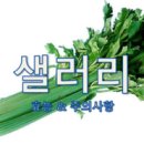 파라지움 이미지