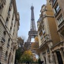 의)은성의료재단 좋은애인요양병원 | 프랑스 해외연수 은성의료재단 좋은병원들 [유럽 5박7일] 2차