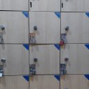 영스포츠타운 이미지