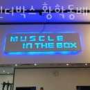 머슬 인 이미지