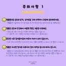 케이크로드 이미지