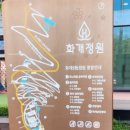 교동잡화 | 석모도 보문사, 교동 대룡시장 방문 후기